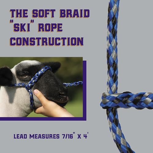 Weaver Livestock Poly Rope Sheep Halter, Modern Style Braid Sheep and Goat Rope Halter, Adjustable Lamb Halter Lead, Livestock Sheep Showing Supplies - color: Blue/Black/Gray