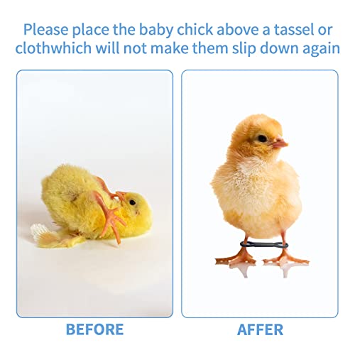 100 Pcs Baby Chicken Splay Leg Bands Poultry Adjustable Hobble Brace | Adjustable leg bands. For newborn chick, quail, duck. Splay leg, spraddle leg fix. 1-3 days newly hatched. Poultry accessory