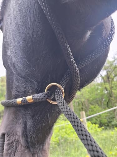 Heavy Duty Horse Lead Rope, 5/8-Inch Thick Nylon with Brass Ring - Soft Training Lead Rope for Horses with D-Ring - Heat-Sealed End for Extra Strength - Snap Link NOT Included - 10-Foot (Pink) - color: Pink