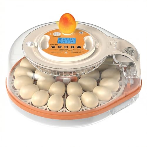 26-59 Egg Incubator,incubators for hatching eggs | AIVoice-Controlled Machine,Temperature & Humidity Control, Built-in Egg Candler, 360° View Clear Lid - color: Orange