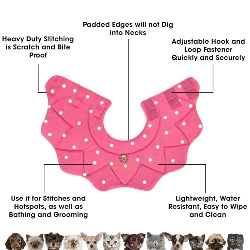 SunGrow Cat Cone Collar Soft Washable, Cat Recovery E Collar Sleep Cone After Surgery to Stop Licking, Pet Cone of Shame Alternatives, Scratch & Bite Proof Grooming Soft Cone for Easy Nail Cutting