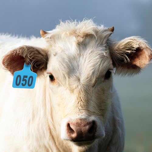 Cattle Ear Tags 001-100 Numbered Large Plastic Livestock Ear Tag,Blue | L3'' x W 2.5'' For Sheep Calf Goat Pig,Animal Id Tags For Ranch & Farm Herd Tracking, Laser Print Clear Numbers,Copper Head - color: Blue, size: 001-100