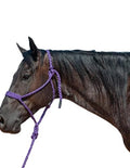 Cashel Flat Braid Halter and Leadrope - color: Purple