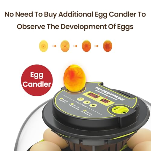 Incubators for Hatching Eggs 12 Egg Incubator with Automatic Egg Turning and Humidity Control,Egg Candler,Auto Water Replenishment,for Chicken Eggs and Quail Egg M12H - color: Green