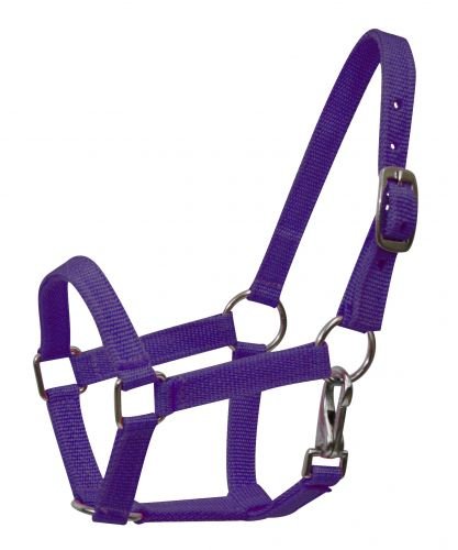 Nylon Small Pony Halter with Nickel Plated Hardware and Throat Latch - color: Purple