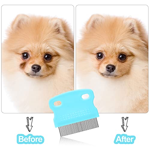 5 Pieces Dog Eye Combs Tear Stain Remover Combs Pet Grooming Comb for Small Dogs Gently Removing Eye Mucus and Crust (Light Blue, Black) - color: Black,Blue