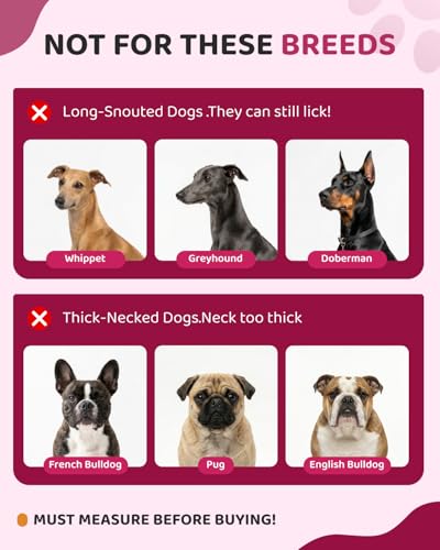 MIDOG Dog Cone Collar After Surgery, Soft Dog Cone Alternative to Stop Licking,Adjustable Elizabethan Recovery Cones for Small to Large Sized Dogs - color: Pink, size: M