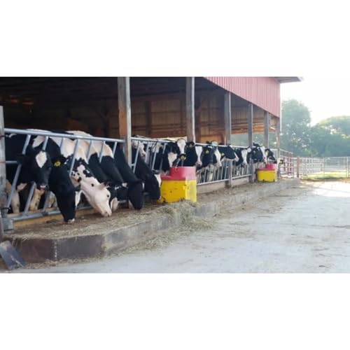 Ritchie Thrifty King CT1-2000 Automatic Livestock Waterer for Cattle – Super-Insulated, Energy-Efficient, Single Drink Area, 11.2 Gallon Capacity, Durable Poly Construction, Model 16271