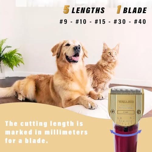 5-in-1 Replacement Clipper Blade, Detachable & Adjustable Dog Grooming Blade Compatible with Wahl Arco, Bravura, Chromado, Creativa, Figura, Motion & SuperGroom (Gold 1 Pack) - color: Gold, size: 1 Pack