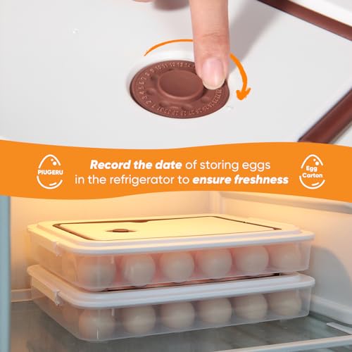 Deviled Egg Containers with Lid, (Set of 2), Plastic Tray Carrier with Handle, Holds Up to 48, Clear Storage Platter for Devil Egg, Portable Fridge Stackable Platter Holder