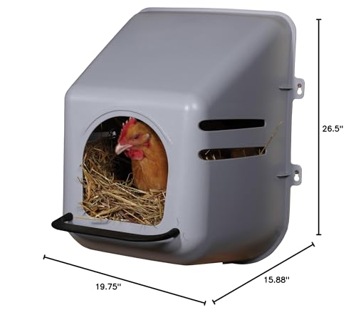 Little Giant Single Plastic Nesting Box Chicken Nest Box with Perch (Item No. 163620)