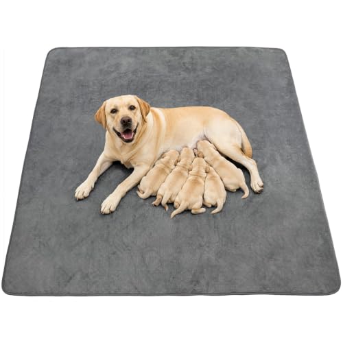 Washable Dog Pee Pads, 34x52, Absorbent, Waterproof, Reusable Whelping Pads | Non-Slip, Dog Mats for Puppy Training, Whelping, Potty, Playpen, Crate, Incontinence, Housebreaking - size: 34"x52"