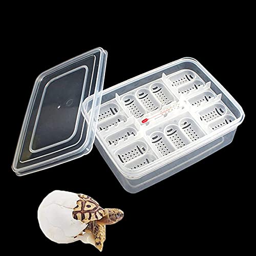 Still Awake Reptile Egg Incubator Professional Hatcher Hatching Box Case Tray Plastic Breeding Incubator for Hatching Snake,Lizards, Reptiles,Gecko(16 Slots Without Thermometer)