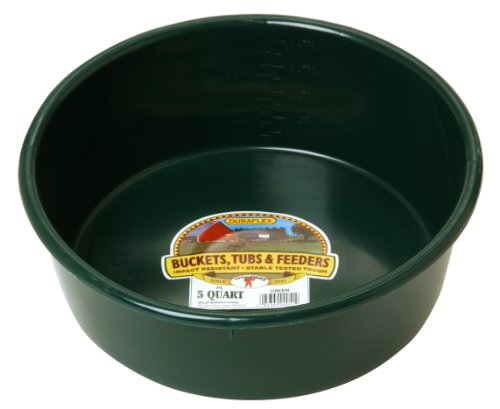 Little Giant® Plastic Utility Pan | Feed Pan | Durable & Versatile Livestock Feeding Bucket | Made in USA | 5 Quart | Green - color: Green, size: 5 Quart