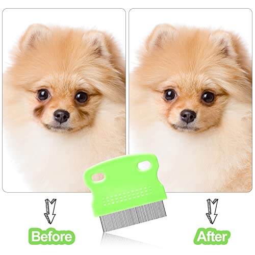 5 Pieces Dog Eye Combs Tear Stain Remover Combs Pet Grooming Comb for Small Dogs Gently Removing Eye Mucus and Crust (Green, Black) - color: Green, Black