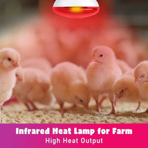 LUCKY HERP Infrared Heat Lamp for Chickens - 250 Watts Red Heat Lamp Bulb 1 Pack, Heat Light Bulb for Brooder Coop, Food Service, Chicks, Pet, Reptile - style: 250 Watts 1 PACK