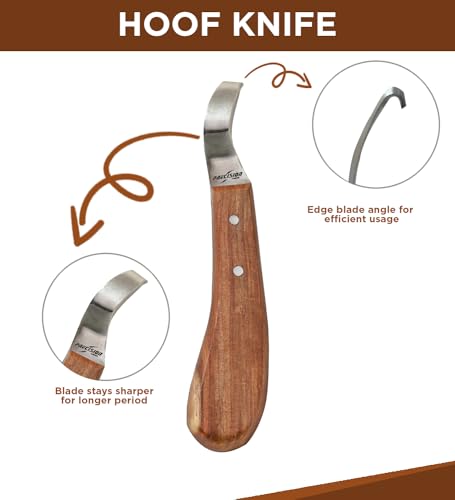 Hoof Knife Loop Blade Japanese Stainless Steel