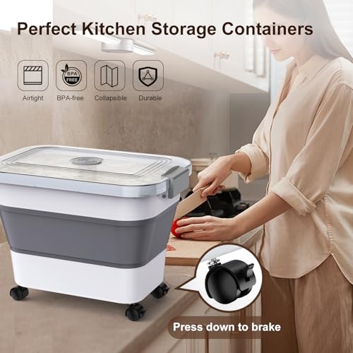 Rice Storage Container, Collapsible Airtight Food Storage Containers 20-30lbs with Clear Lid and Wheels, Rice Dispenser with Scoop for Flour Cereal Pasta Grain, Cat Pet Bird Dog Food Storage Container - size: 10-30 Lbs
