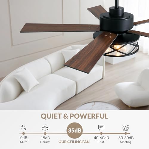 Farmhouse Ceiling Fan with Lights 52 Inch Caged | Bubble glass shade farmhouse fandelier with walnut blades, quiet DC motor, remote, 6 speeds, timer for stylish living spaces - size: 52 Inch - Walnut