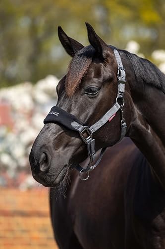 LeMieux Vogue Fleece Headcollar - Halter & Leadrope - Extra Padding, Adjustable at Curb and Poll Strap - color: Black / Grey, size: full