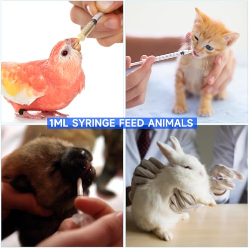 300 PCS 1ml Syringe Bulk with Cap,1cc Plastic Small Syringes with Cover, Liquid Measuring Syringe, Syringes Tools for Scientific Labs, Feeding Small Pets, Oil or Glue Applicator-Individually Sealed - style: 1ml
