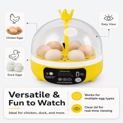 Luqeeg Mini Egg Incubator, Temperature Control Digital Incubators, 4 Eggs Candler Poultry Hatching Machine Eggs Poultry Hatching Machine for Chickens Ducks Pigeons (Manual Turning)