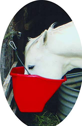 Little Giant® Plastic Better Bucket | Horse Feed Pail | Ergonomically Designed | Flat Back Bucket | Made in USA | 10 Quarts | Red - color: Red, size: 10 Quarts