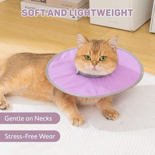 Avont Lightweight Waterproof Foldable Cone, Soft E-Collar - L Purple | Neck up to 14.6", Width 4.7". Foldable soft cone for cats & small dogs, stops licking, waterproof, easy clean - color: Purple, size: L