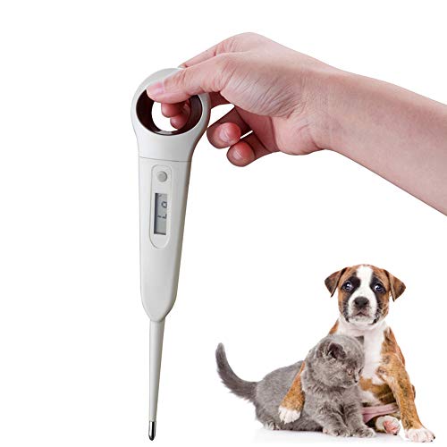 Aurrynns Pet Digital Anus Thermometer for Dogs, Cats, Pigs, Sheep ()