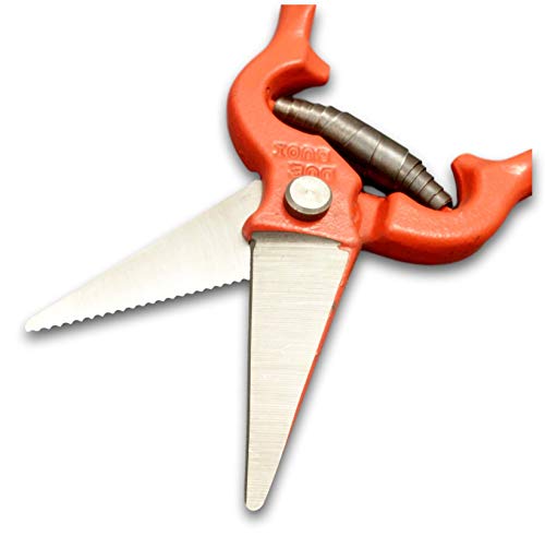 DUE BUOI 164/25 Agriculture Foot Rot Shear, Serrated Blade, Heavy Duty, 25 cm Length, 400 gr (14 oz), High Carbon Hardened Steel, Forged Handle