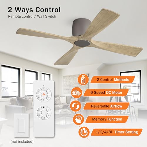 LEDLUX 48" Flush Mount Ceiling Fan without Light, 4 Reversible Blades, 6-Speed Noiseless DC Motor, Low Profile Hugger Ceiling Fan No Light for Living Room, Kitchen, Bedroom, Graphite and Gray - color: Graphite and Gray