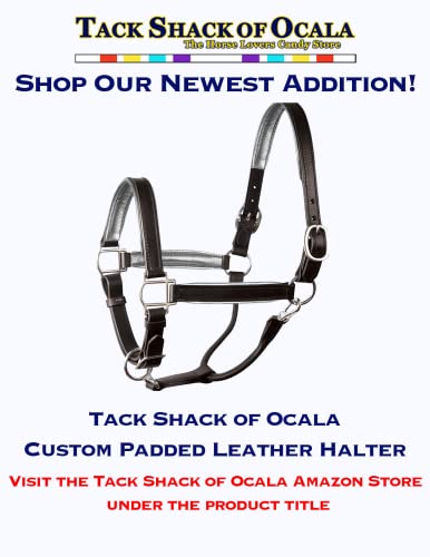 Leather Halter for Horses with Customized Engraved Name Plate Option Halter for Horse | Brown/Brass, Black/Brass, Black/Chrome Options - size: Cob