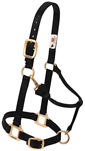 Weaver Leather Original Adjustable Nylon Horse Halter, Black, Arabian/Cob
