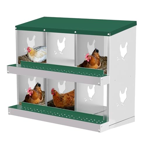 Nesting Boxes for Chickens, 6/8/10-Hole Galvanized Steel Chicken Nesting Boxes for Laying Eggs with Egg Rollaway System to Protect Eggs, Easy Egg Collection, for Chicken Coop Backyard Farm