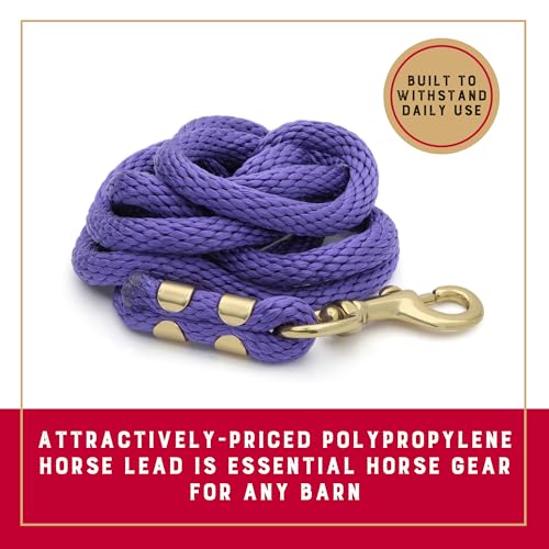 Weaver Equine Performance Lead Rope, Lime Zest, 8' Horse Value Rope with Brass Plated 225 Snap, Soft Comfort Grip, Barn Horse Tack for Daily Use - color: Purple