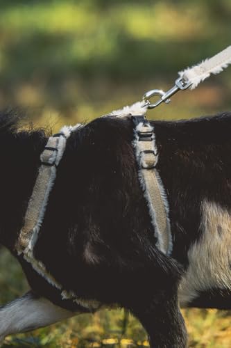 Goat Harness, Asatre Adjustable Lined Hemp Goat or Sheep, Small to X-Large,Livestock Halter, Durable Multi-Clasp, Eco-Friendly Livestock Gear, Comfortable Farm Pet (Small) - size: Small