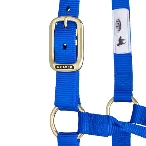 Weaver Leather Original Non-Adjustable Nylon Horse Halter, Small, Blue