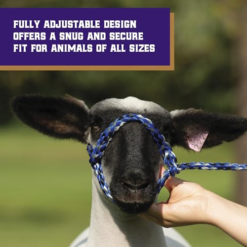 Weaver Livestock Poly Rope Sheep Halter, Modern Style Braid Sheep and Goat Rope Halter - color: Black