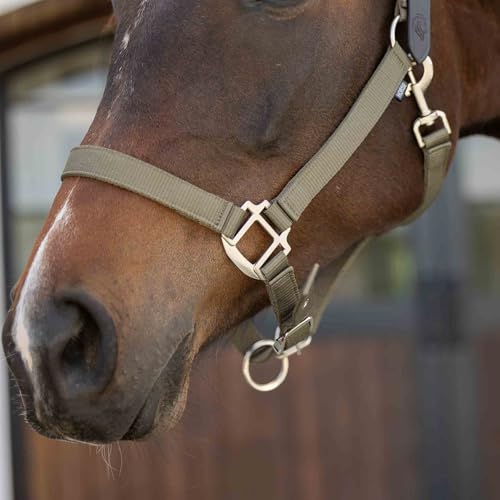 Equinavia Loki Nylon Horse Halter: Breakaway Leather Crown, Adjustable Fit - color: Light Olive, size: Cob