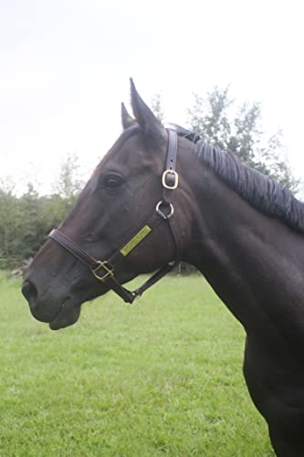 Turnout Leather Halter for Horses with Customized Engraved Name Plate | Brown Leather with Solid Brass Hardware | Fixed Chin, Double Buckle Crown - size: Yearling/Large Pony