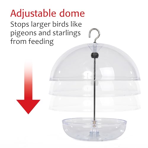 Mealworm Feeder - Jacobi Jayne® Pearl Feeder - Dome Bird Feeder for Small Birds - Bluebird Feeder for Mealworms - Platform Bird Feeder with Dome Cover - Covered Mealworm Feeder - Attracts Blue Birds