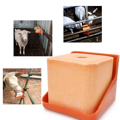 2 Pack Thick Salt Block Holder Mineral Brick Feeder Tray for Cattle Horse Goat Sheep (Small Size, Orange)
