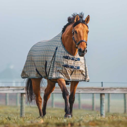 Baker HW Turnout Blanket 400 Gram 76