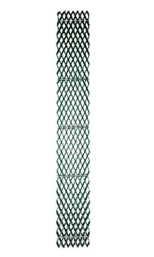 Cody James Dymondback Horse Rasp REFILL ONLY - Choose FINE, MEDIUM or AGGRESSIVE (AGGRESSIVE)
