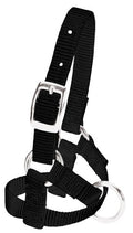Weaver LeatherBlue Nylon Alpaca Halter, Baby - color: Black