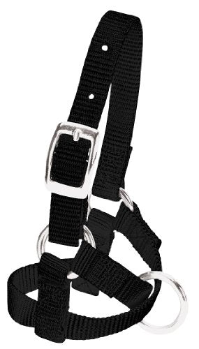Weaver LeatherBlue Nylon Alpaca Halter, Baby - color: Black
