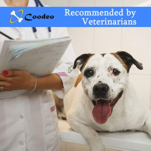 Coodeo Dog Lift Harness, Pet Support & Rehabilitation Sling Lift Adjustable Padded Breathable Straps for Old, Disabled, Joint Injuries, Arthritis, Loss of Stability Dogs Walk (Blue, XL) - color: Blue, size: Extra Large
