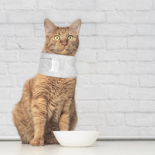 Cat Neck Brace, Adjustable Breathable Elizabethan Collar for Pet After Surgery Recovery Cat Neck Cervical Cone for Small Dogs Puppies Kittens with Neck Circumference 6.3-8.6 Inch (X-Small,Grey) - size: X-Small