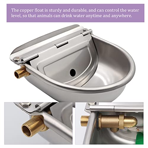 Automatic Dog Water Bowl Dispenser with Brass Float Valve and Drain Hole | Heavy‑Duty 304 Stainless Steel, Wall‑Mounted, Auto‑Refill Waterer, for Dogs, Cats, Chickens, Cattle, Pigs, Goats and Sheep