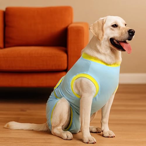 Recovery Suit for Dogs Cats After Surgery, Cone Alternative, Blue Yellow, M | Soft Breathable Fabric, Prevents Licking & Scratching, Easy to Put On, Machine Washable, Post-Surgery, Wound Protection - color: Blue Yellow, size: M (Back:13.4-16.1'', Weight:1